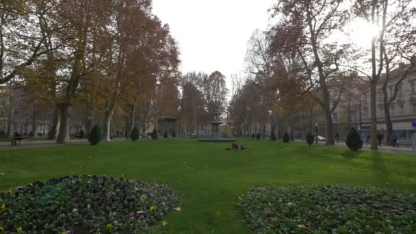 Grama Verde Árvores Parque — Vídeo de Stock