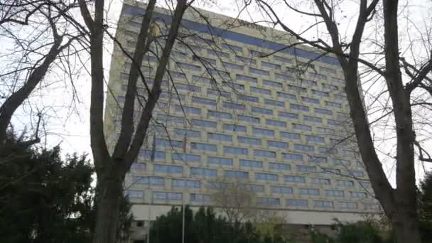 酒店大楼前的无叶树 — 图库视频影像