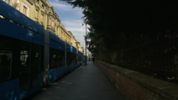 Stationäre Straßenbahnen Auf Einer Straße — Stockvideo