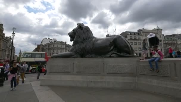 Lion Sculpture Trafalgar Square — Stock Video