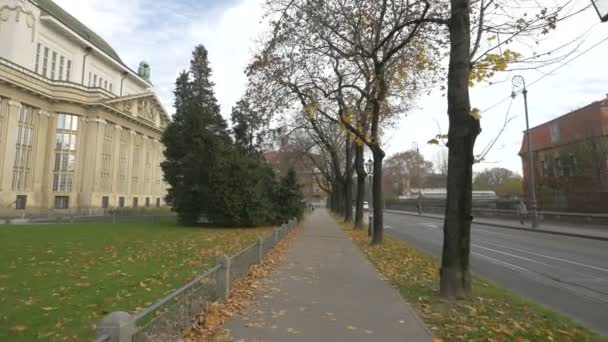 Тротуарі Міської Вулиці — стокове відео