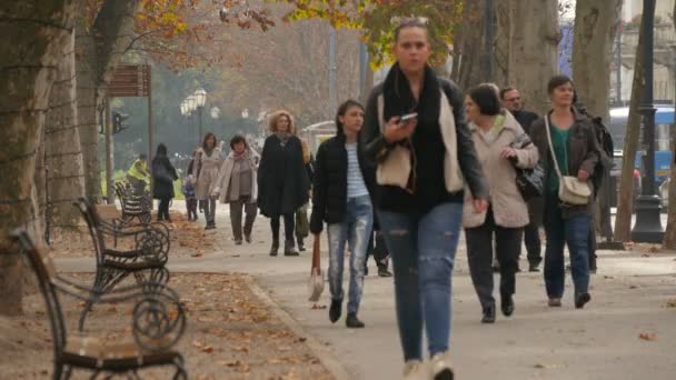 Caminando Por Acera — Vídeo de stock