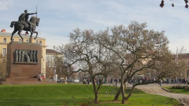 Birds Square Equestrian Statue — Stock Video