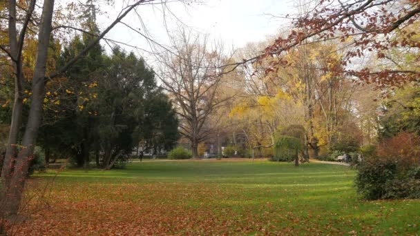 Stadtpark Herbst — Stockvideo