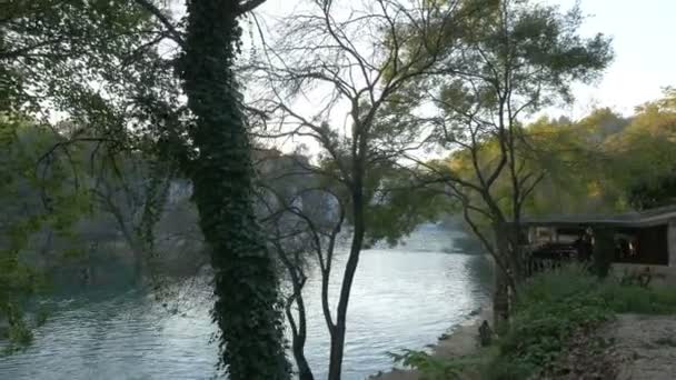 Trebiat Floden Sedd Genom Träd — Stockvideo