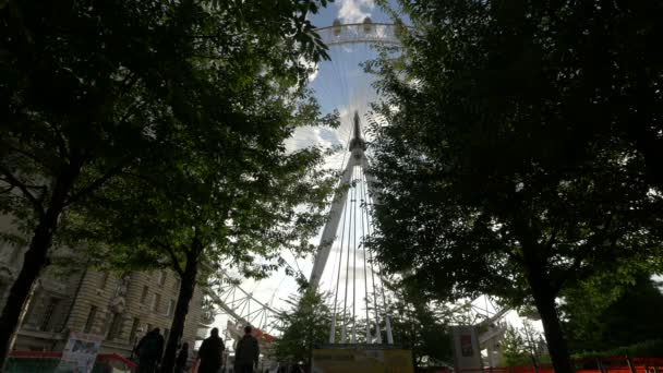木の枝の後ろに見えるロンドン — ストック動画