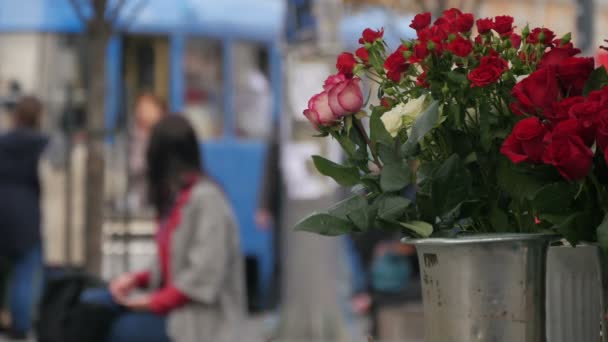 Roses Dans Les Seaux Ville — Video