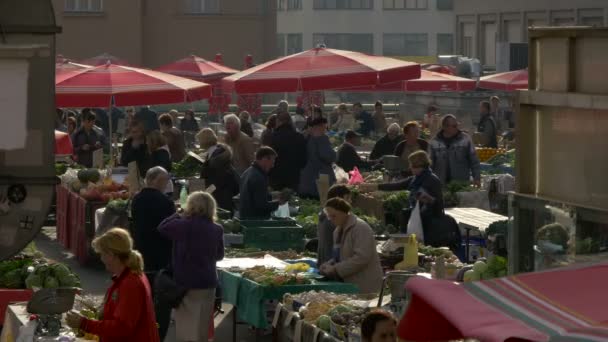 Lidé Trhu Dolac Záhřeb — Stock video