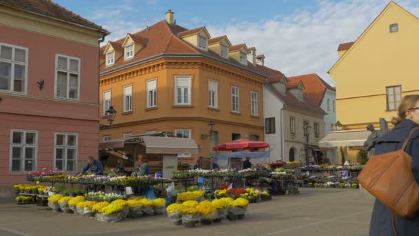 Lidé Prodávají Květiny Náměstí — Stock video