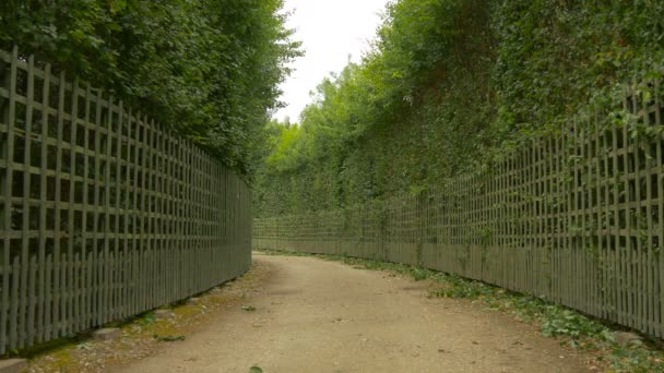 Alley Gardens Versailles — Stock Video