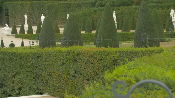 Pessoas Caminhando Jardins Chteau Versailles Paris — Vídeo de Stock