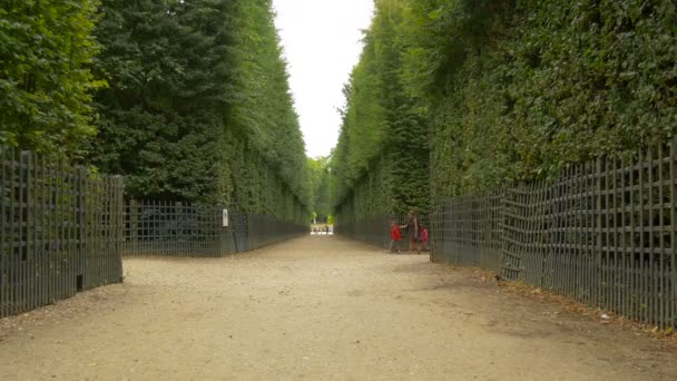 Alley Taman Istana Versailles — Stok Video