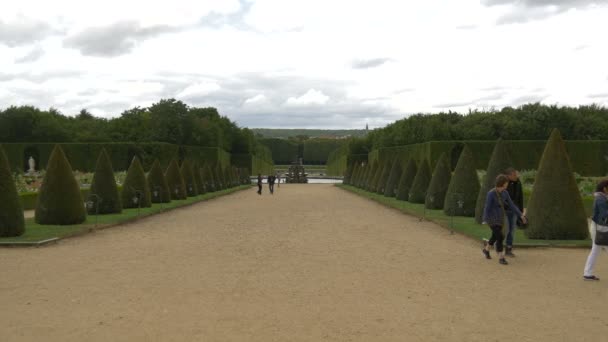 雨天凡尔赛花园 — 图库视频影像