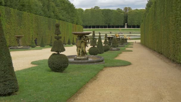 Статуи Версальского Сада — стоковое видео