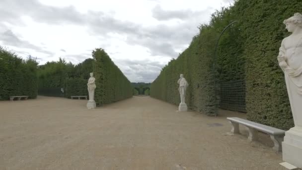 Becos Com Estátuas Nos Jardins Versalhes — Vídeo de Stock