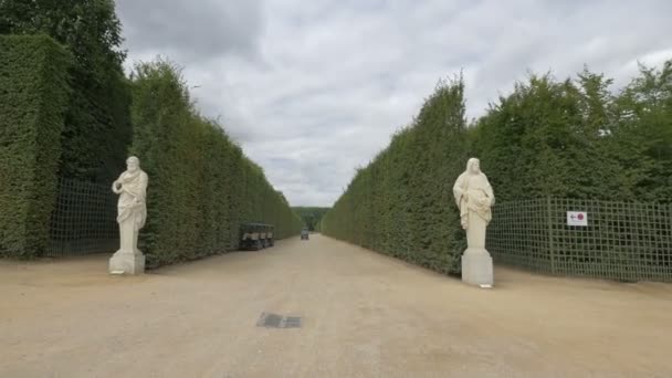 Beco Nos Jardins Versalhes — Vídeo de Stock