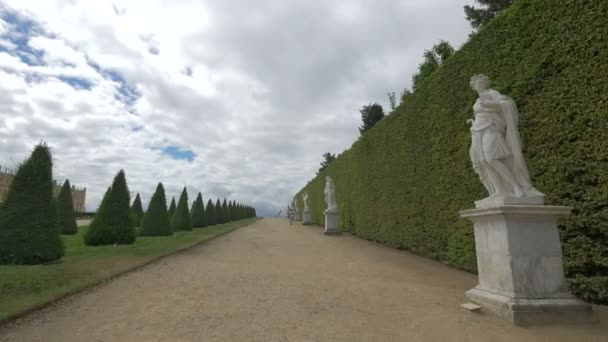 Estatuas Callejón Los Jardines Versalles — Vídeo de stock