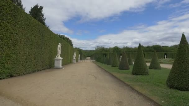 Estatuas Mármol Arbustos Recortados — Vídeos de Stock