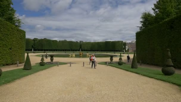 Sárkányszökőkút Versailles Kertben — Stock videók