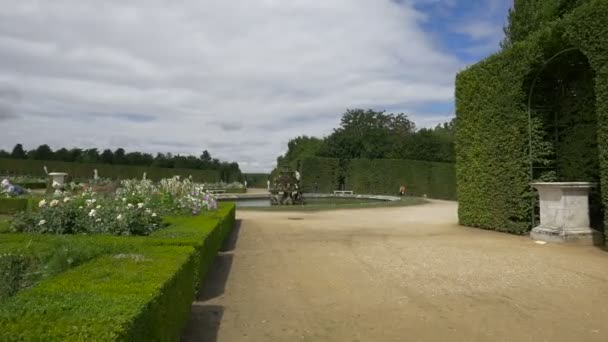Fontänen Trädgården Versailles — Stockvideo