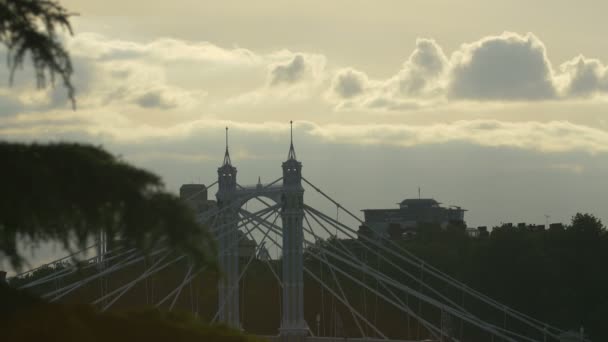 Albert Bridge Oszlopok — Stock videók