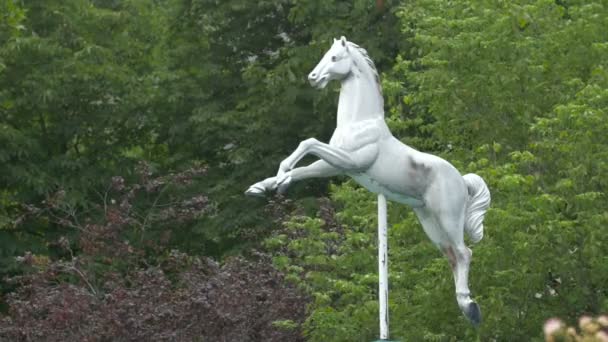 Statue Eines Weißen Pferdes — Stockvideo