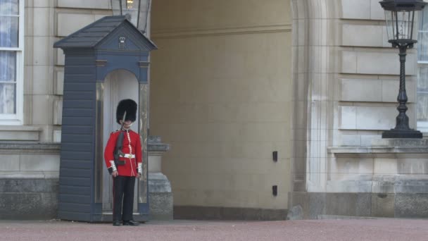 バッキンガム宮殿に立つ兵士 — ストック動画