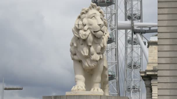 Close Lion Sculpture — Αρχείο Βίντεο