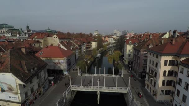 Aerial View Pedestrian Bridge River — Stock Video