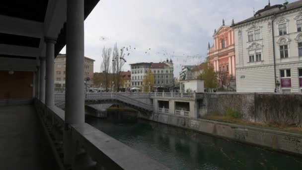 Triple Bridge Seen Central Market — Stock Video