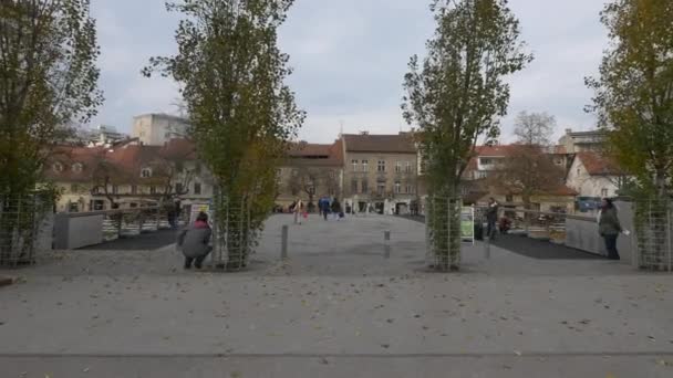 Ponte Dei Macellai Lubiana — Video Stock