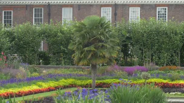 Rostliny Barevné Květiny Kensington Gardens — Stock video