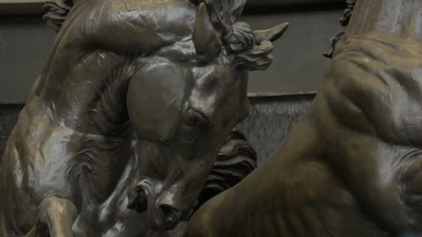 Close Uma Escultura Cavalo — Vídeo de Stock