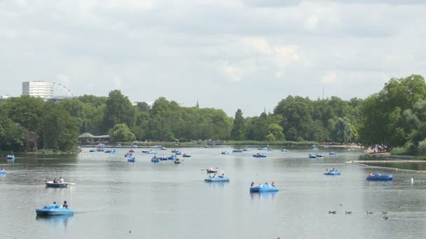 Der Serpentinensee Mit Blauen Tretbooten — Stockvideo