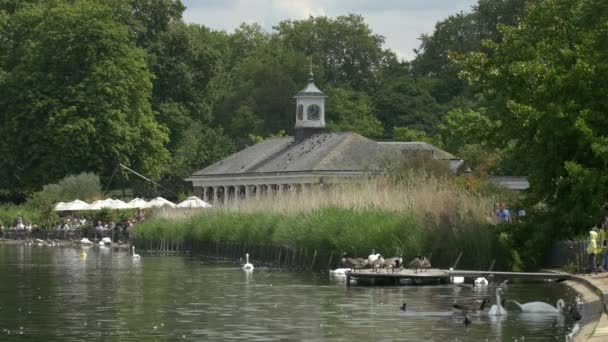 Lago Hyde Park Londres — Vídeos de Stock