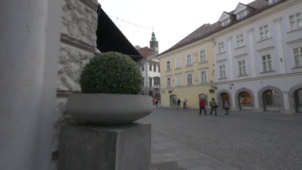 Place Ville Avec Fontaine Robba — Video