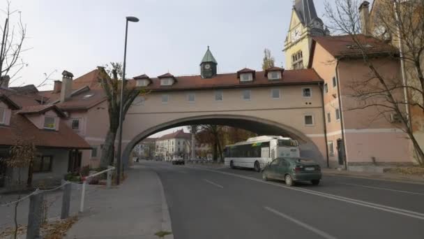 Їдете Під Аркою — стокове відео