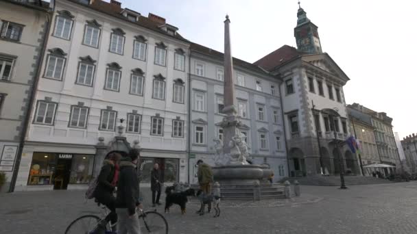 Fontaine Sur Place Ville — Video