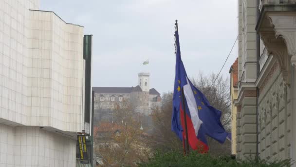 Flags Waving Wind — Stock Video