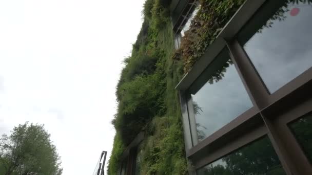 Lage Hoek Van Een Gebouw Bedekt Met Planten — Stockvideo