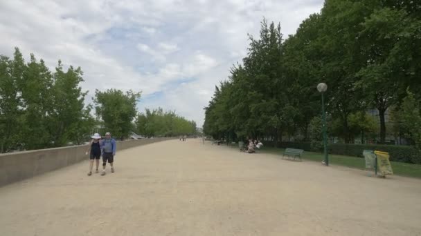 Spazieren Gehen Und Auf Bänken Einer Parkgasse Sitzen — Stockvideo