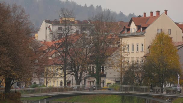 Podul Cerealelor Din Ljubljana — Videoclip de stoc