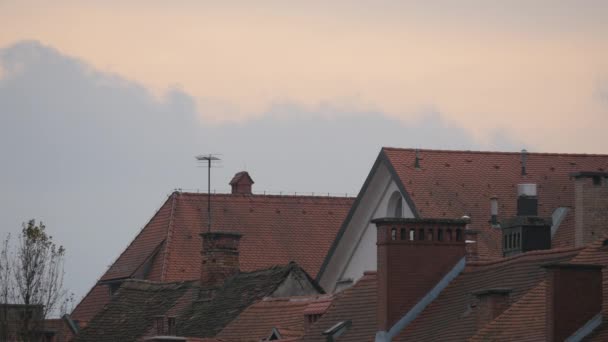 Tile Rooftops Evening — Wideo stockowe