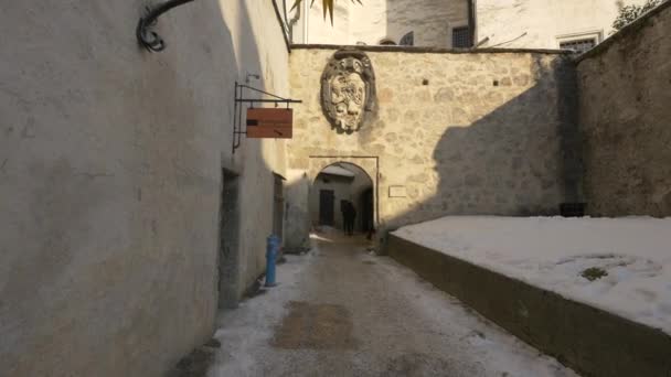 Wappenskulptur Auf Einer Festung — Stockvideo