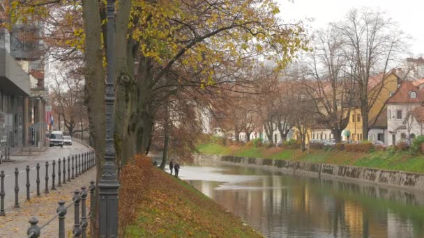 Sonbaharda Ljubljanica Nehri — Stok video