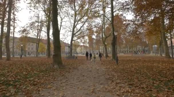 Vandring Parken Kongresstorget — Stockvideo