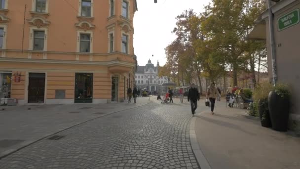 Вульфова Вулиця Любляні — стокове відео