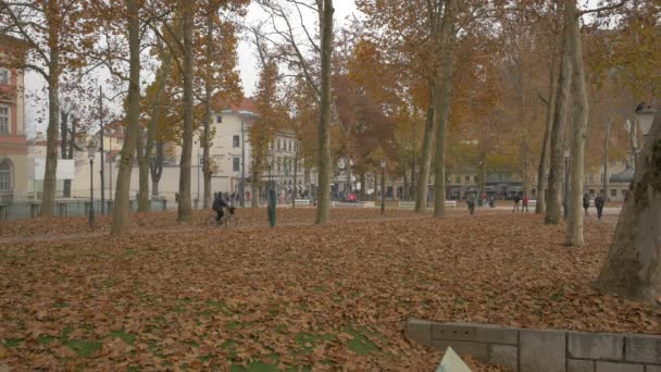 Sonbahar Günü Ljubljana Park — Stok video
