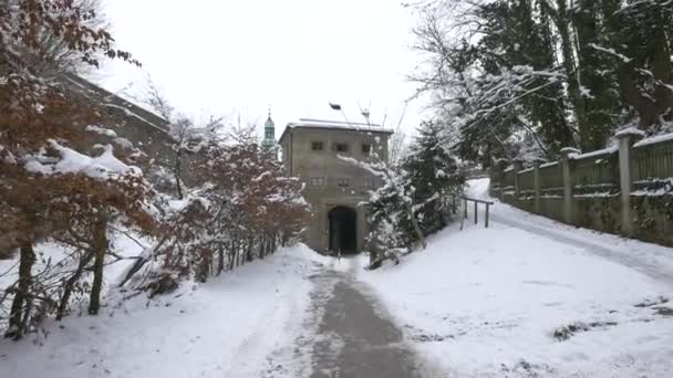 通往城堡的雪道 — 图库视频影像