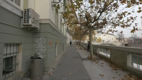 Wybrzeże Rzeki Lublanica Jesienią — Wideo stockowe